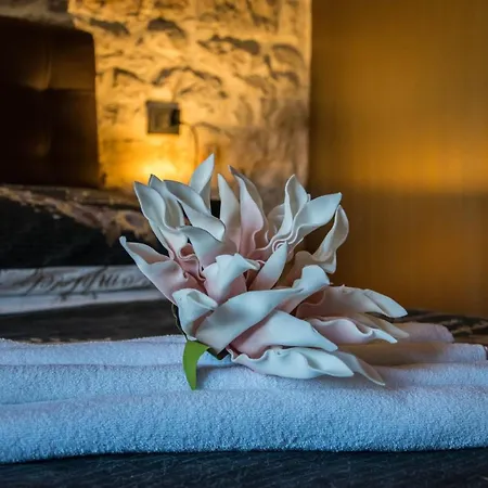 Oli Mare Apartamento Poreč